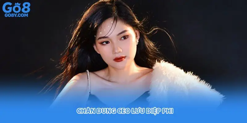 Chân dung CEO Lưu Diệp Phi