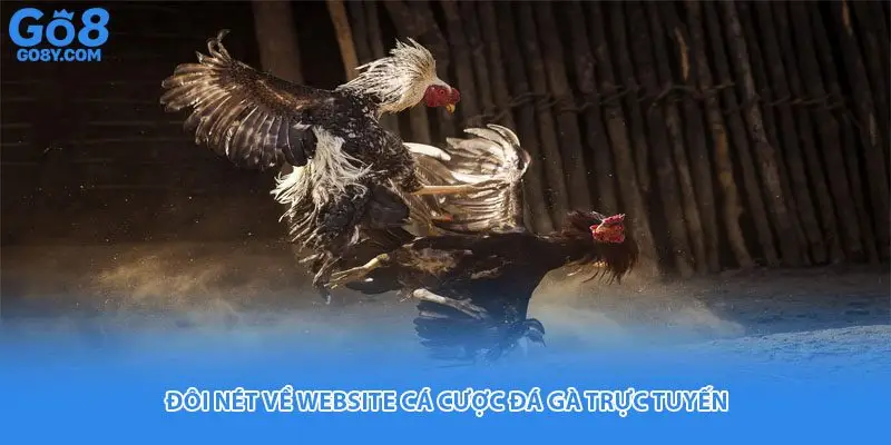 Đôi nét về website cá cược đá gà trực tuyến