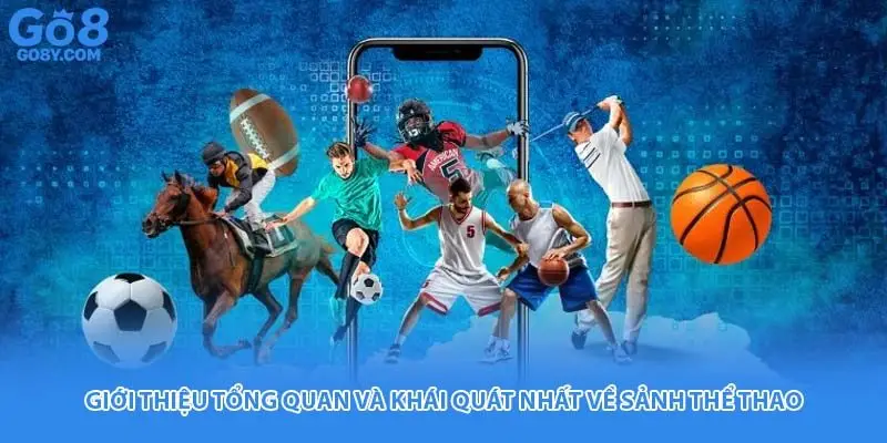 Giới thiệu tổng quan và khái quát nhất về sảnh thể thao